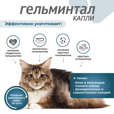 Гельминтал К Spot-on (3пип) капли на холку от блох, клещей и глистов для кошек и котят от 4-10кг (ЛИЦЕНЗИЯ)  фото