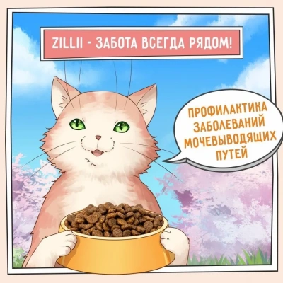 ZILLII (Зилли) Cat Urinary Care 2кг индейка сухой для домашних кошек (352222) фото