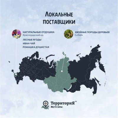 Наполнитель (ТерриториЯ) 55л Лесные ягоды комкующийся древесный фото