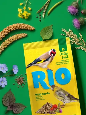 Rio 0,5кг корм для лесных певчих птиц основной рацион фото