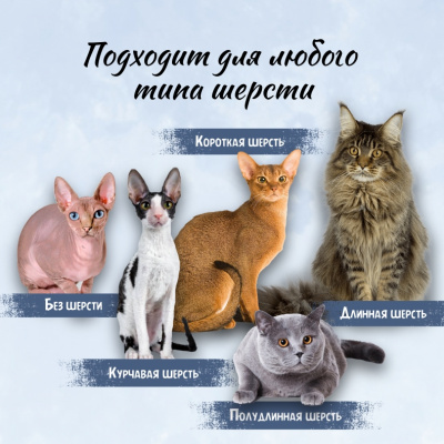 Шампунь (ТерриториЯ) Шёпот листвы твёрдый для собак и кошек, 70 г фото