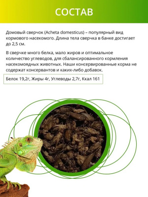 Онто (Onto) 0,04кг Сверчок консервированный фото