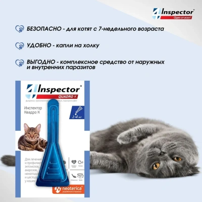 Inspector Quadro К (3пип) капли от блох, клещей и глистов для кошек от 1 до 4кг (ЛИЦЕНЗИЯ) фото
