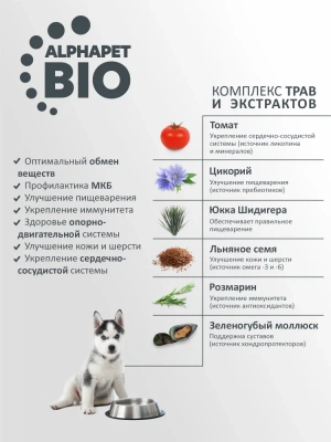 AlphaPet Superpremium (АльфаПет) 3кг с говядиной и рисом сухой для юниоров крупных пород с 6 мес. до 1,5 лет (651492) фото