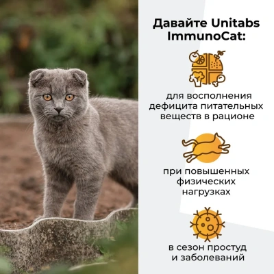 Unitabs 120таб./0,06кг витаминно-минеральная добавка ImmunoCat Q10 для иммунитета с таурином для кошек с 1-8лет фото