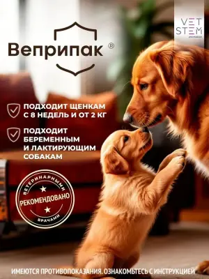 Веприпак 500 мг для собак 10-20кг (ЛИЦЕНЗИЯ) фото