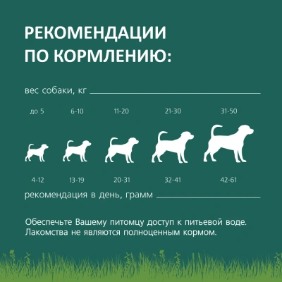 TiTBiT 0,09кг легкое говяжье XXL (мягк.уп.) АКЦИЯ фото