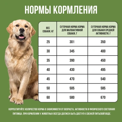 Bowl Wow 5кг ягненок, индейка с рисом и цукини сухой для собак крупных пород  (661863) фото