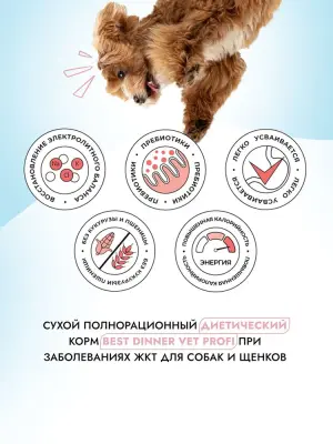 Best Dinner Vet Profi Gastro Intestinal Low Fat 12кг сухой для собак (406920) фото