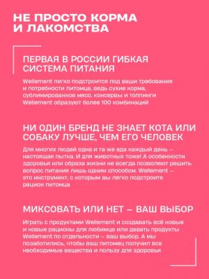 Wellement 0,08кг Ягненок и морской гребешок кремовый топпинг для кошек фото