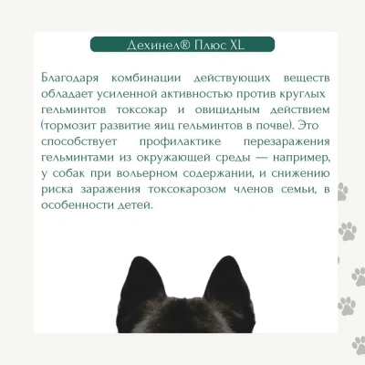 Дехинел Плюс (KRKA) 2таб. антигельминтик, 2310мг для собак крупных пород, 1таб./35кг (ЛИЦЕНЗИЯ) фото