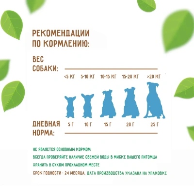 Зубочистики 0,072кг Пластинки (12шт) жевательные (76050281) фото
