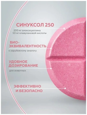 СИНУКСОЛ таб. 250 мг №10 (ЛИЦЕНЗИЯ) фото