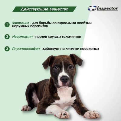 Ошейник (Inspector) (4 мес), 65см от блох, клещей и глистов для средних собак (ЛИЦЕНЗИЯ) фото
