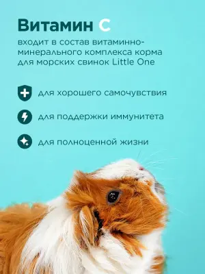 Little One 0,4кг Корм для морских свинок фото