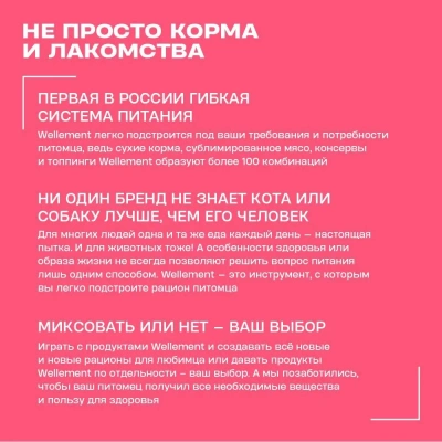 Wellement 0,15кг*24шт Тунец с уткой паштет для щенков, (Шоу-бокс) фото