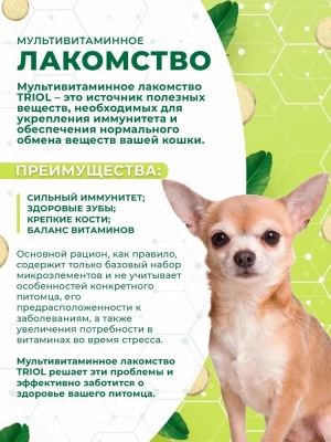 Triol 0,033кг лакомство мультивитаминное Крепкий иммунитет для собак фото