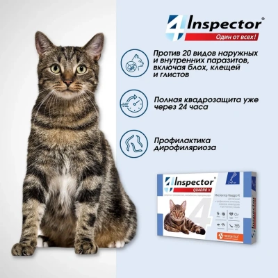 Inspector Quadro К (3пип) капли от блох, клещей и глистов для кошек от 1 до 4кг (ЛИЦЕНЗИЯ) фото