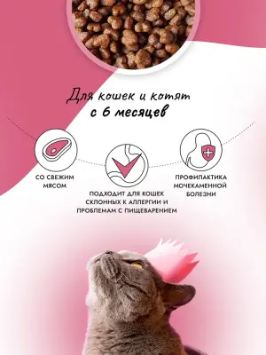 Best Dinner Cat Adult Holistic Sterilized 0,4кг говядина с розмарином сухой для стерилизованных кошек (405503) фото