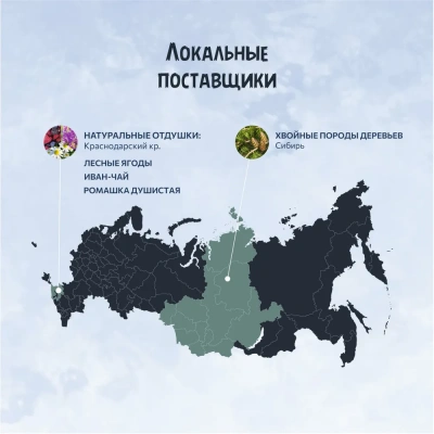 Наполнитель (ТерриториЯ) 55л Хвойный лес комкующийся древесный фото