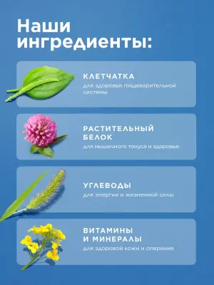Rio 0,24кг смесь семена луговых трав для всех видов птиц фото