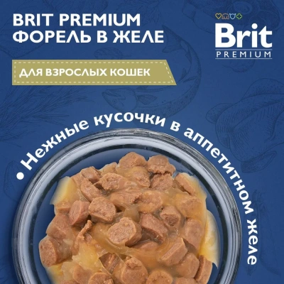 Brit Premium 0,085кг форель в желе пауч для взрослых кошек (5050185) фото