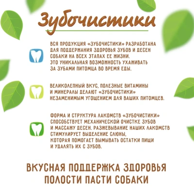 Зубочистики 0,072кг Пластинки (12шт) жевательные (76050281) фото