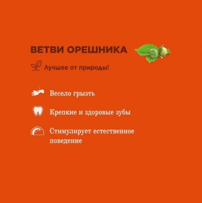 Little One 0,035кг Лакомство 7шт Ветви орешника для изгрызания для грызунов фото