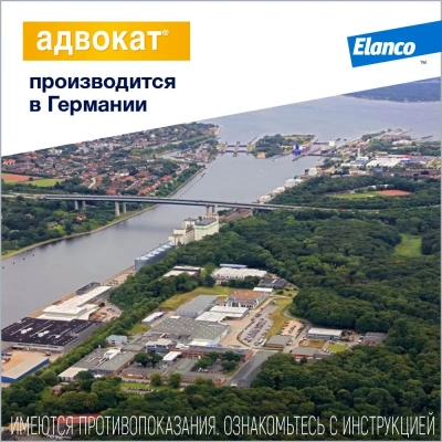 Адвокат капли (3пип х 1мл) от чесоточных клещей, блох и гельминтов для собак  4-10кг (ЛИЦЕНЗИЯ) фото