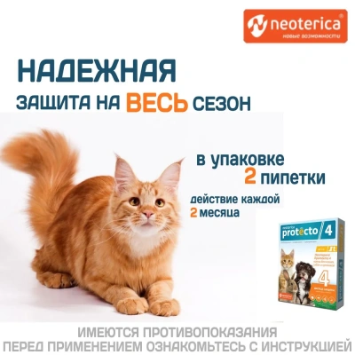 Protecto Neoterica капли для кошек и собак и кроликов 4КГ 2ШТ P301 (ЛИЦЕНЗИЯ)  фото