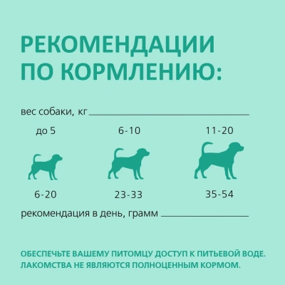 Бифф (Biff) жевательный снек Dent 0,063кг для чистки зубов со вкусом говядины для мелких собак (9 шт) фото