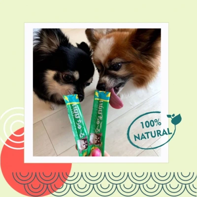 Inaba Churu 4*0,014кг с куриным филе для поддержания здоровья ЖКТ лакомство-пюре для собак фото