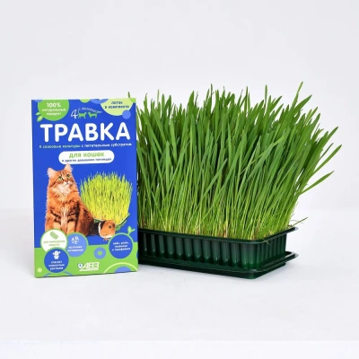 Травка (Четыре с хвостиком) 0,1кг для кошек (лоток) фото