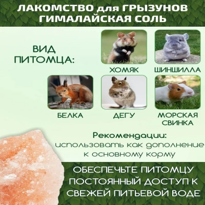 Лакомство (Triol) Original 0,04кг гималайская соль для грызунов фото