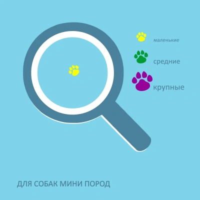 Бифф (Biff) жевательный снек Dent 0,03кг для чистки зубов с творогом для собак мини пород (5 шт) фото