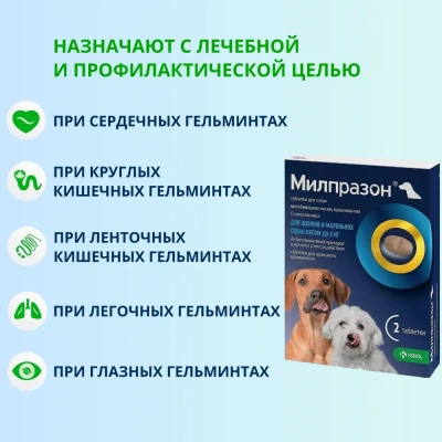 Милпразон (KRKA) 2,5/25мг 2таб. антигельминтик для щенков и собак до 5кг, 1таб./1-5кг (ЛИЦЕНЗИЯ) фото