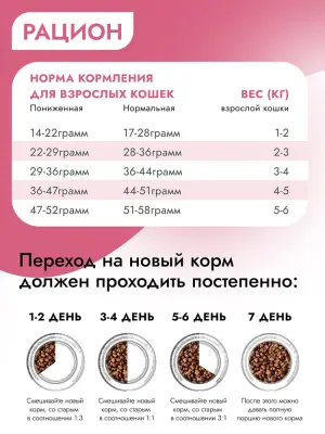 Best Dinner Cat Adult Holistic Sterilized 0,4кг говядина с розмарином сухой для стерилизованных кошек (405503) фото