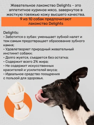 Косточка (8in1) Delights S жевательная с курицей для мелких и средних собак, 11см, 35гр (2403) фото