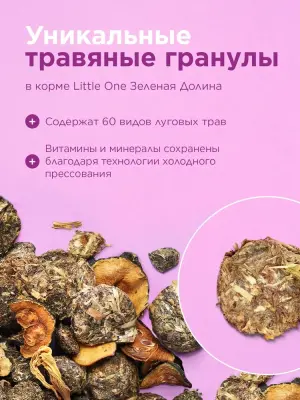 Little One 0,75кг Зеленая долина корм из разнотравья для шиншилл фото