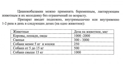 Витамин В12 100мл (цианокобаламин) (45) (ЛИЦЕНЗИЯ) фото