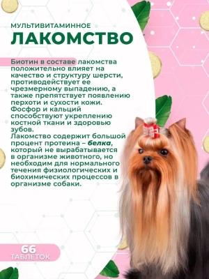 Triol 0,033кг лакомство мультивитаминное Здоровая кожа и шерсть для собак фото