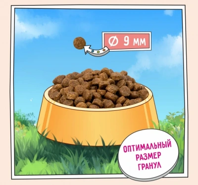 ZILLII (Зилли) Puppy 0,8кг индейка и ягненок сухой для щенков (350372) фото