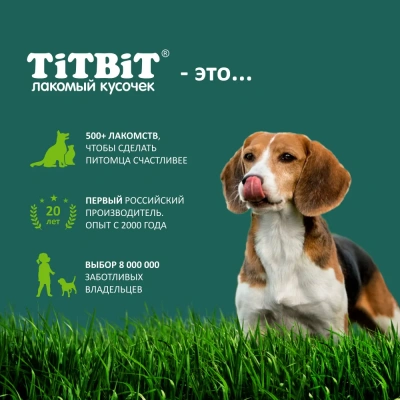 TiTBiT 0,07кг мягкие снеки с кроликом и черникой (Новогодняя коллекция) фото