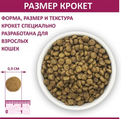 Родные корма 0,409кг (1 фунт) Мясное рагу сухой для кошек (537604) фото