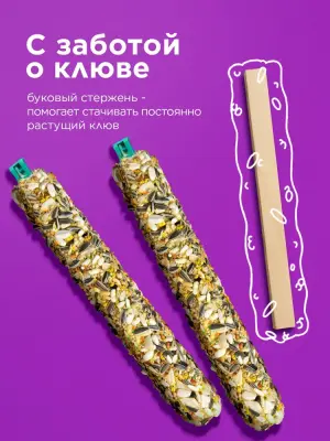 Rio 0,075кг*2шт палочки для средних попугаев с медом и орехами фото