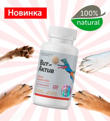 Вит-Актив активная кормовая добавка Вит-Актив С-И формула здоровья 120табл. для собак фото