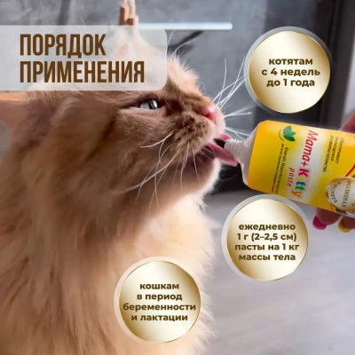 Unitabs 0,12л витаминная паста Mama+Kitty для котят с 4х недель, беременным и кормящим кошек фото