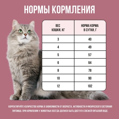 Bowl Wow 4кг с индейкой и свеклой сухой для стерилизованных кошек (660149) фото