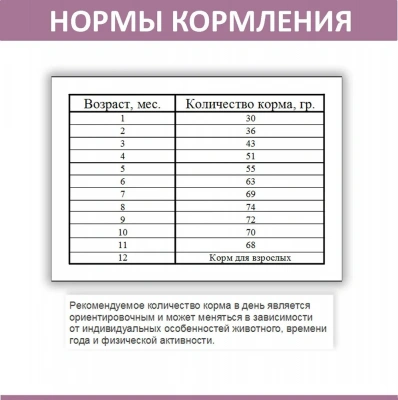 Родные корма 2,045кг (5 фунтов) с индейкой сухой для котят (133417) фото