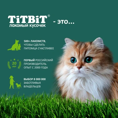 TiTBiT 0,05кг мышки с таурином для кошек (Новогодняя коллекция) фото